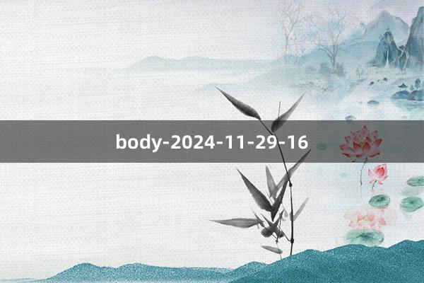 body-2024-11-29-16