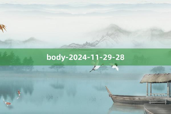 body-2024-11-29-28