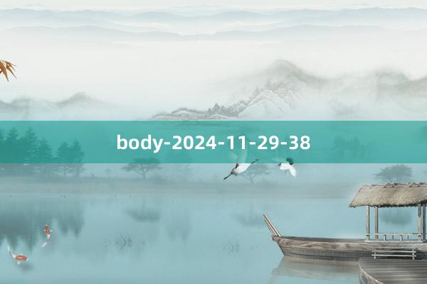 body-2024-11-29-38