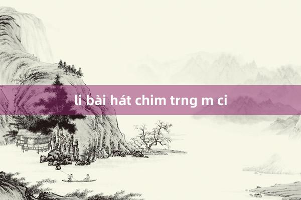 li bài hát chim trng m ci