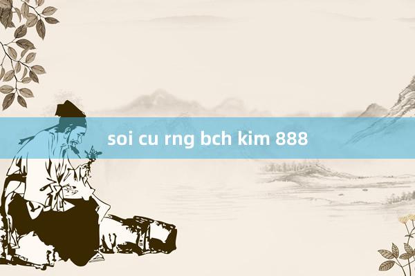 soi cu rng bch kim 888