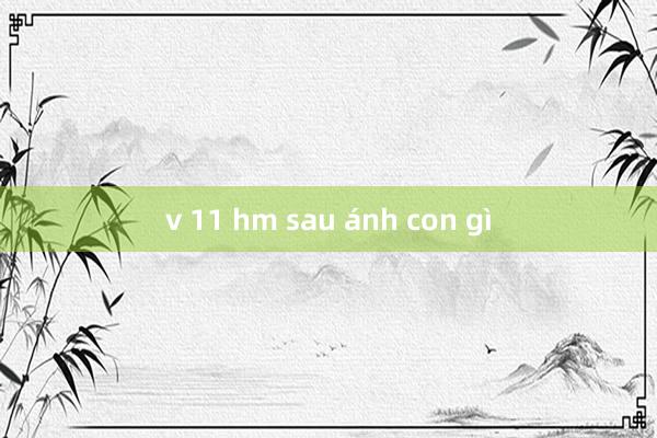 v 11 hm sau ánh con gì