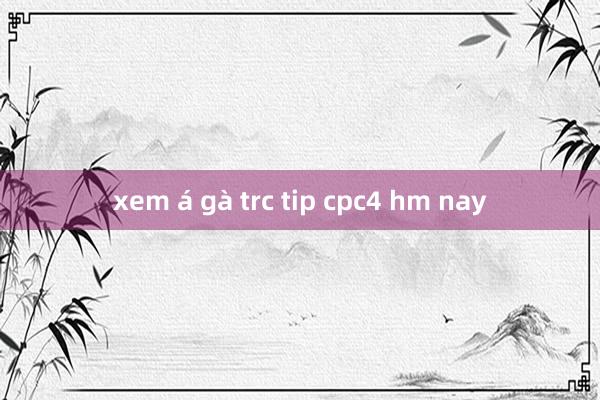 xem á gà trc tip cpc4 hm nay