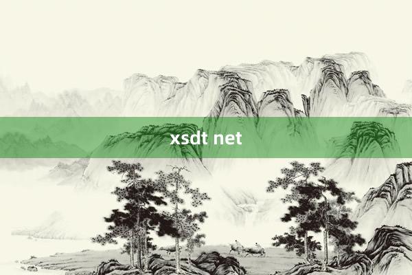 xsdt net