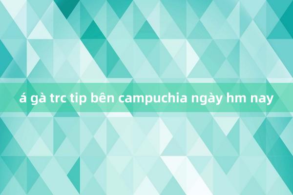 á gà trc tip bên campuchia ngày hm nay