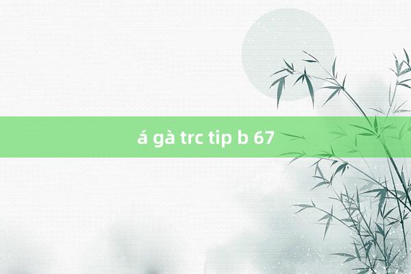 á gà trc tip b 67