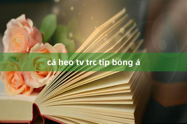 cá heo tv trc tip bóng á