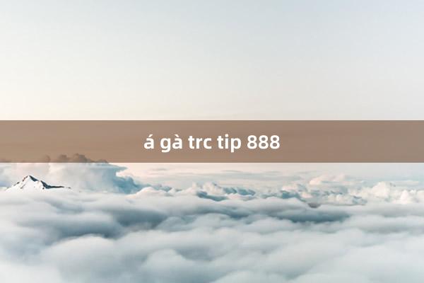 á gà trc tip 888