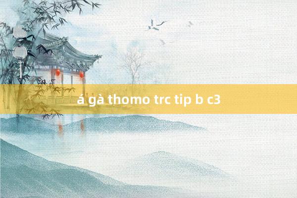 á gà thomo trc tip b c3