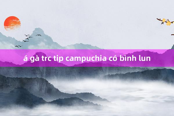 á gà trc tip campuchia có bình lun