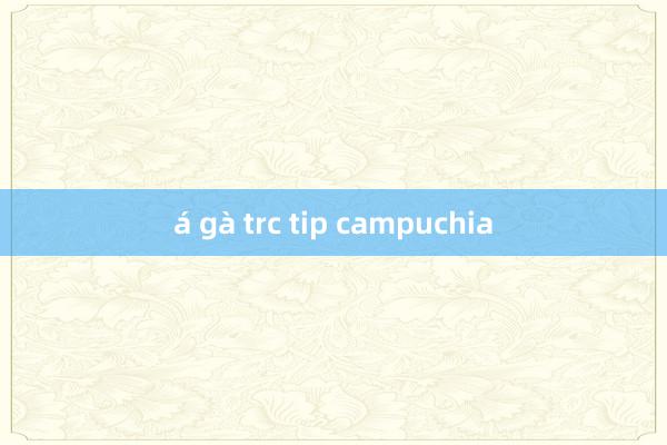 á gà trc tip campuchia