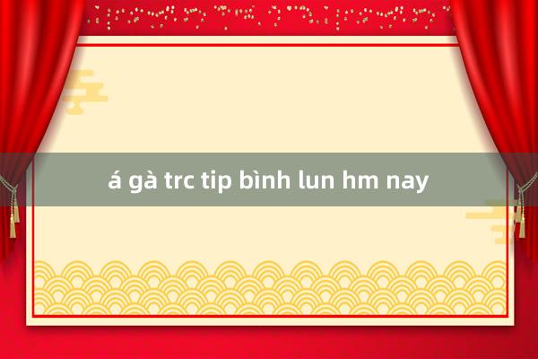 á gà trc tip bình lun hm nay