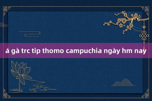 á gà trc tip thomo campuchia ngày hm nay