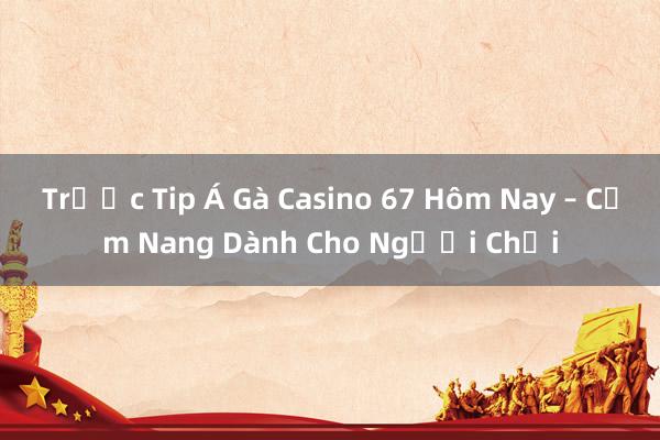 Trước Tip Á Gà Casino 67 Hôm Nay – Cẩm Nang Dành Cho Người Chơi