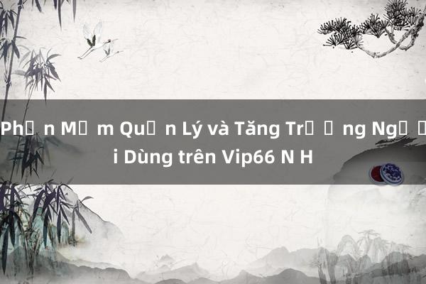 Phần Mềm Quản Lý và Tăng Trưởng Người Dùng trên Vip66 N H