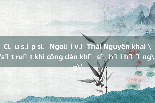 Cựu sếp sở Ngoại vụ Thái Nguyên khai 'sốt ruột khi công dân khổ sở hồi hương'