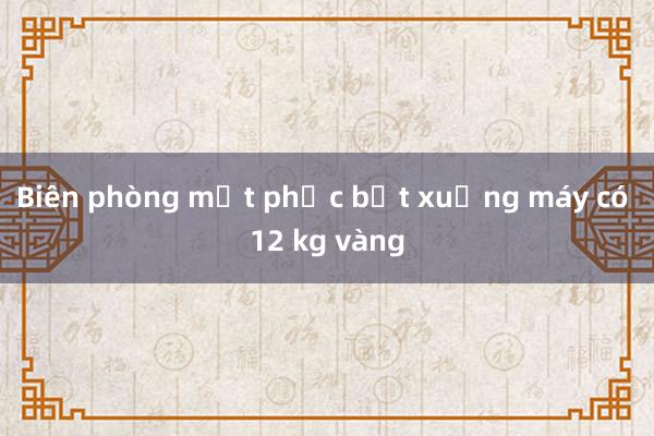 Biên phòng mật phục bắt xuồng máy có 12 kg vàng