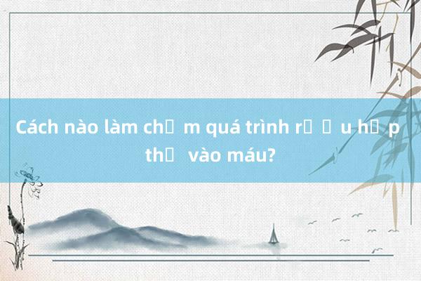 Cách nào làm chậm quá trình rượu hấp thụ vào máu?