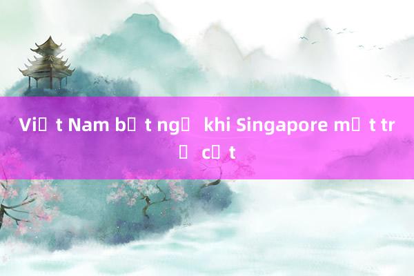 Việt Nam bất ngờ khi Singapore mất trụ cột