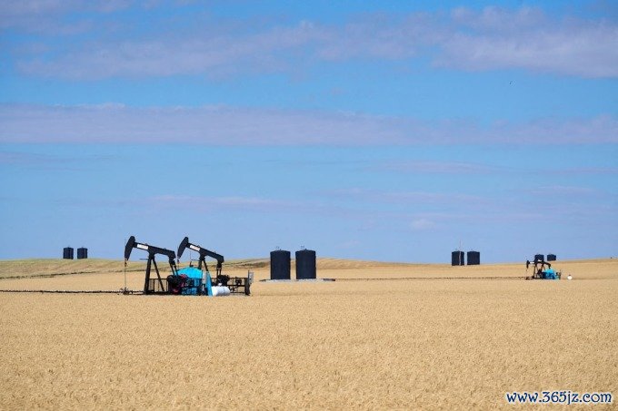 Một điểm khai thác dầu thô tại Saskatchewan (Canada) tháng 9/2024. Ảnh: Reuters